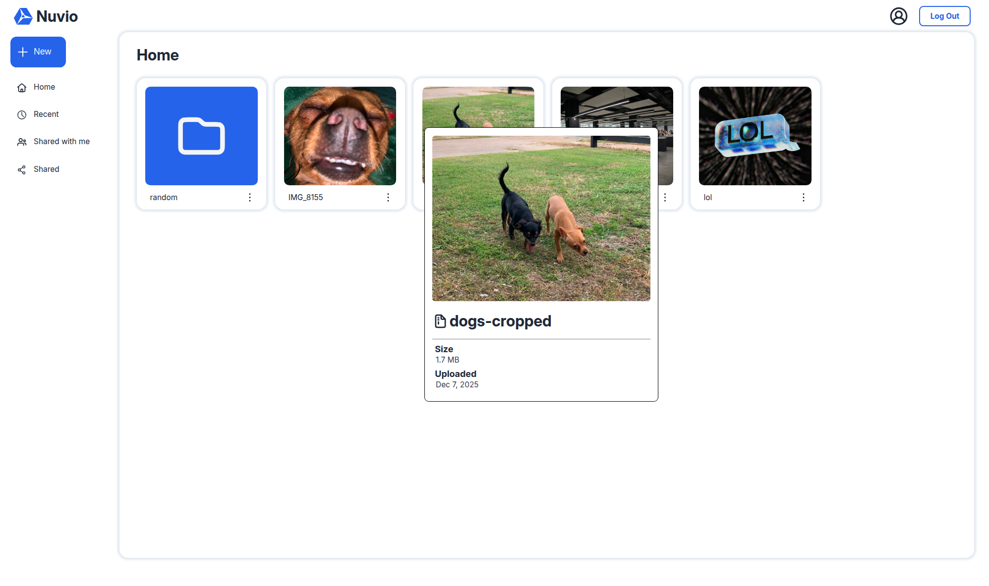 Project Screenshot